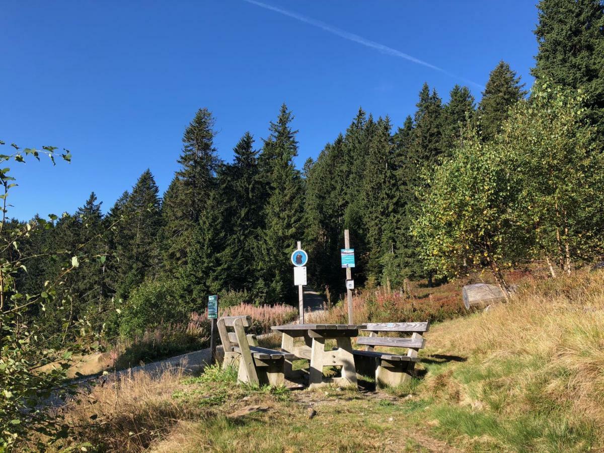 Wellnesshotel Riedlberg Drachselsried Exteriér fotografie